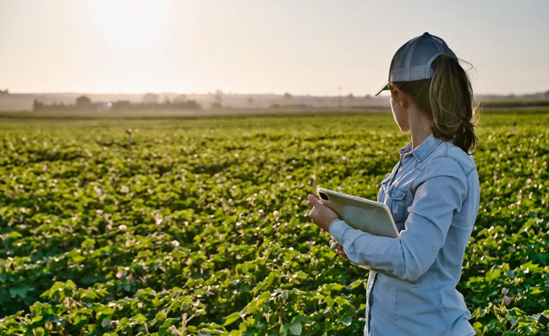 Sustainability and Climate Change