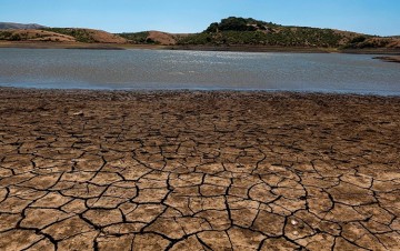 Resiliencia Territorial y Adaptación Climática