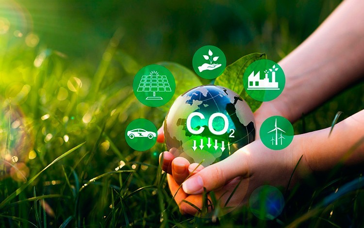 Integración de la Huella de Carbono en la Estrategia Corporativa