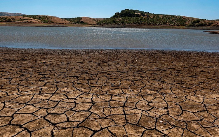 Resiliencia Territorial y Adaptación Climática