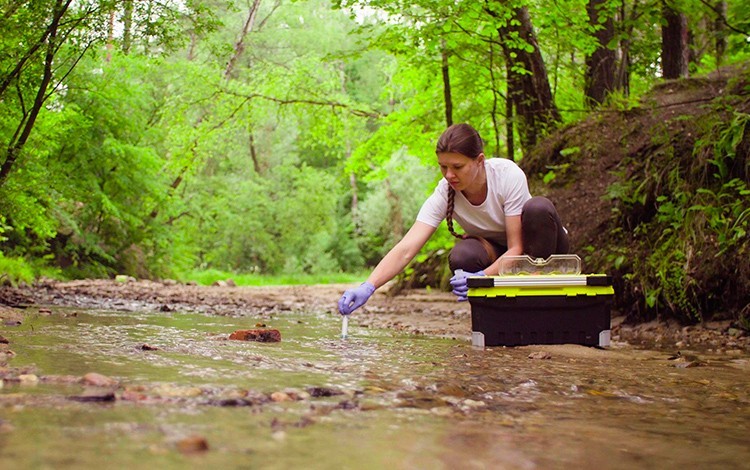 Rigor Técnico en Estudios de Impacto Ambiental (EIA)